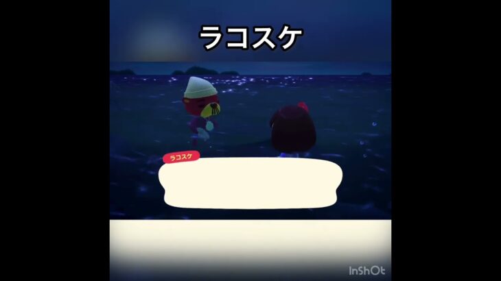 今日のラコスケ　#あつ森 #あつまれどうぶつの森 #vlog #acnh #こはくちゃんねる2424