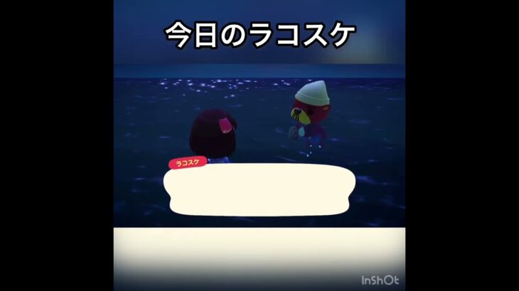 今日のラコスケ　#あつ森 #あつまれどうぶつの森 #vlog #acnh #こはくちゃんねる2424