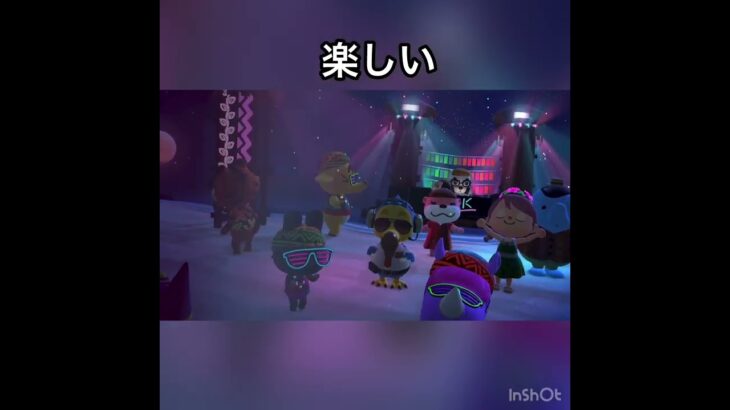 フェス　#あつまれどうぶつの森 #あつ森 #vlog #animalcrossing ＃ハピパラ　#こはくちゃんねる2424 #acnh