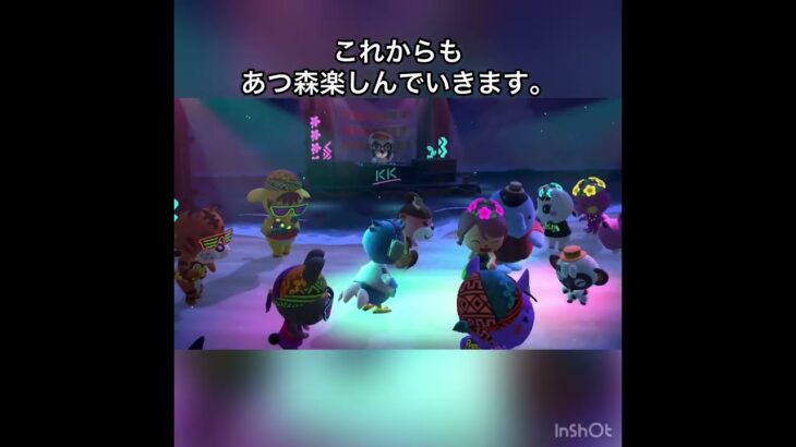 フェス#あつまれどうぶつの森 #あつ森 #vlog #animalcrossing ＃ハピパラ　#こはくちゃんねる2424 #acnh