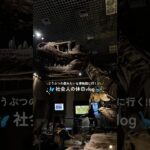 あつ森みたいな博物館が最高すぎた〜!! # #おでかけvlog #vlog #社会人vlog #あつ森 #どうぶつの森 #国立科学博物館
