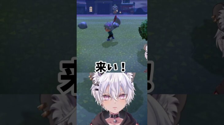 サソリとバトル！まさかの結末…！#あつ森  #vtuber #animalcrossing #あつまれどうぶつの森