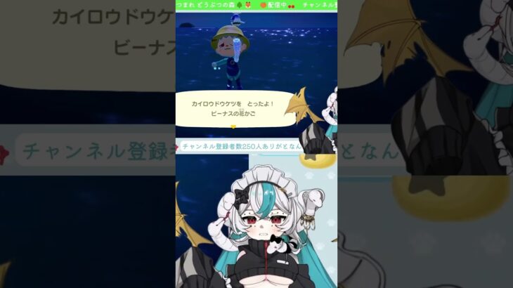 【あつ森】苦戦して獲ったのに・・・。【四ノ蛇せきか】 #四ノ蛇せきか #あつ森 #切り抜き #vtuber  #新人vtuber