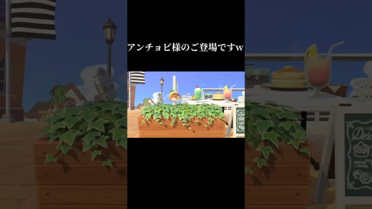 年に数回ファッションセンスがバグる時期がありますw #実況 #あつ森 #アンチョビ #推し