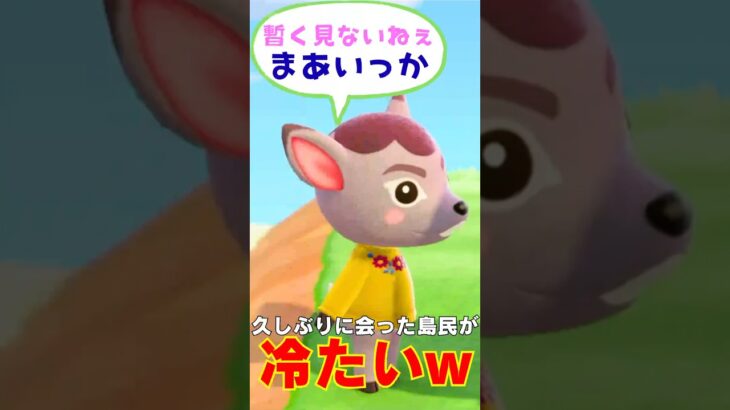 あつ森  | 久しぶりに住民と会ったら冷たすぎた…w