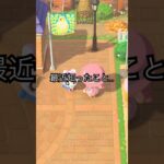 実は…w #あつ森 #あつまれどうぶつの森 #あつ森好きな人と繋がりたい #animalcrossing #ゆめみ #おかめなっ島 #acnh #真実 #shorts #comedy #クリスチーヌ
