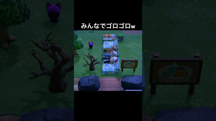ベットが邪魔すぎる島w #あつまれどうぶつの森 #あつ森 #ゲーム実況 #shorts