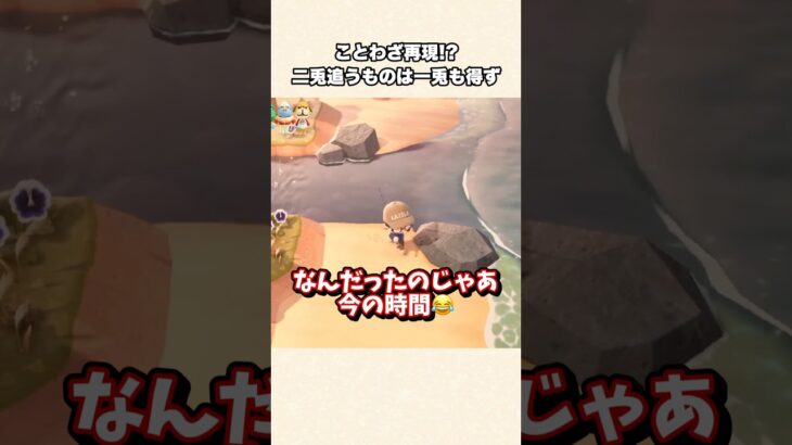 【あつ森】チョウザメから学ぶまさかのことわざに笑ったw【あつまれどうぶつの森】#shorts #あつ森