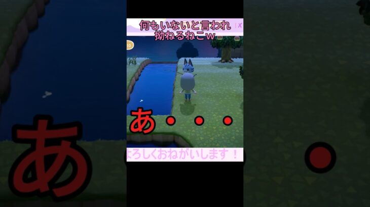 何もいないと言われ拗ねる猫ww #あつ森 #あつまれどうぶつの森 #ゲーム実況 #ゲーム配信