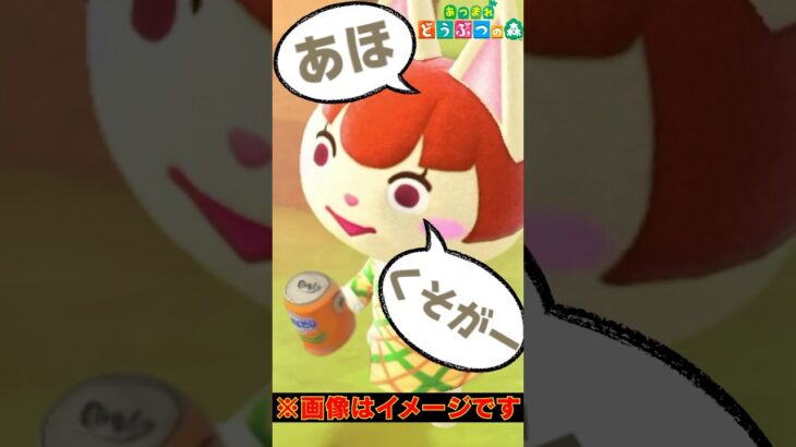 あつ森 ｜ 初対面なのに口悪すぎww