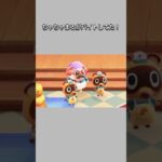 【あつ森】ちゃちゃまるがタヌキ商店でアルバイトしてた？！😆ww【あつまれどうぶつの森】【どうぶつの森】【ACNH】 #short