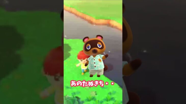 ぼったくりたぬきwww#あつ森女子 #あつ森 #あつまれどうぶつの森