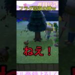 フラグ回収の神www #ゲーム配信 #あつ森 #あつまれどうぶつの森 #ゲーム実況