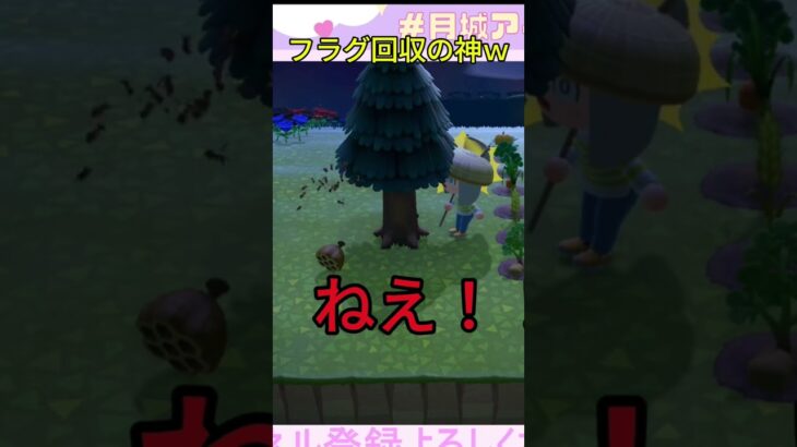 フラグ回収の神www #ゲーム配信 #あつ森 #あつまれどうぶつの森 #ゲーム実況