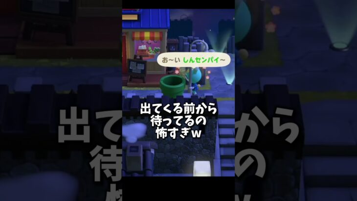 未来予知能力者の住民が怖すぎるwww【あつ森】