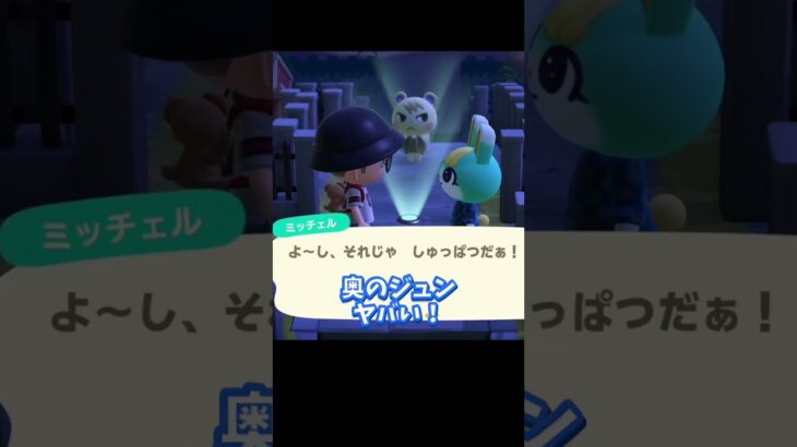 神々しい｢ジュン｣を見て語彙力崩壊www【あつ森】