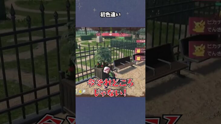 【あつ森】初めての色違いは○○！ #ポケモンza   #pokémon   #女性ゲーム実況