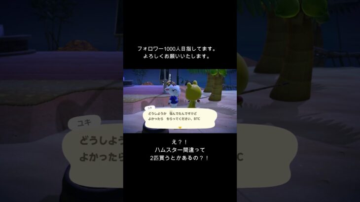 あつ森ショート03　ハムスター好きにしろ。