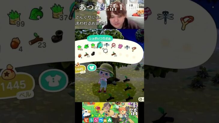 あつ森初日。どんぐり1つに大切なものに気づかされるおじさんの貴重なシーン　#shorts #あつ森 #switch