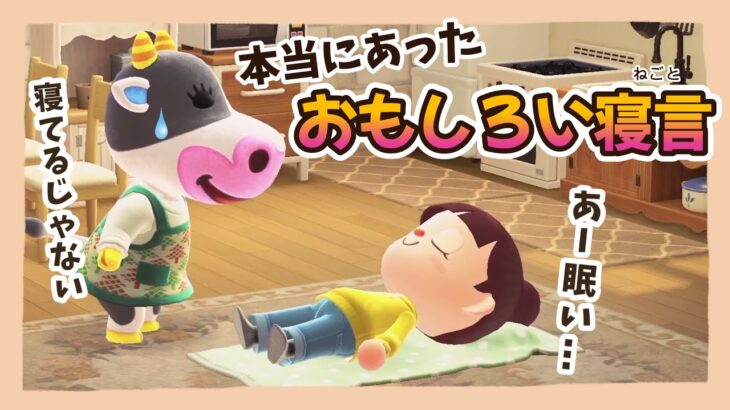 【あつ森アニメ】本当にあった面白い寝言10選【あつまれどうぶつの森】