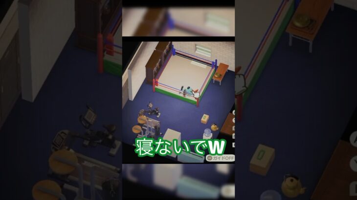 【あつ森】10×8でボクサーを育てる‼️ボクシングジム🥊＃ハピパラ＃あつ森＃マイク