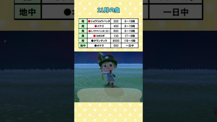 11月の海の幸 #あつ森 #あつ森攻略講座  #あつ森海の幸 #あつ森コンプ  #あつ森生物