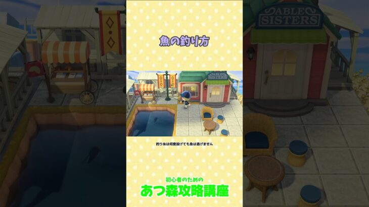 11月の魚 #あつ森  #あつ森攻略講座  #あつ森釣り #あつ森コンプ #あつ森生物