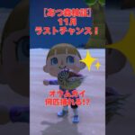 【あつ森検証】11月ラスト！オウムガイを一晩で何匹捕れるか試した結果…🐚💦 #あつ森 #あつまれどうぶつの森 #ゲーム実況  #どうぶつの森 #ゲーム#海の幸#オウムガイ