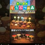 【あつ森】11月素材集め！木材&キノコ #acnh #あつ森 #animalcrossing #あつ森vlog #あつまれどうぶつの森 #秋のレシピ