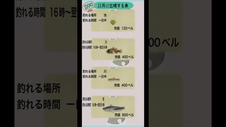 #あつまれどうぶつの森 #あつ森 #11月 #魚釣り #南半球 #ゲーム #ゲーム配信 #switch #チャンネル登録と高評価お願いします