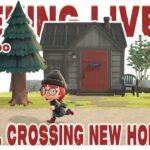 【あつ森 11/10】チルろう!!どうぶつの森☕島クリしながら雑談｜#animalcrossing