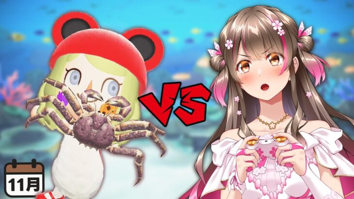 【あつ森】過酷!? 11月の海の幸を全て集めるまで終われません！レア海の幸が多い11月を乗り切れ！【あつまれどうぶつの森 ライブ】
