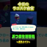 11/20 ラコスケの毎日金言 #あつ森 #ゲーム実況 #名言 #shorts