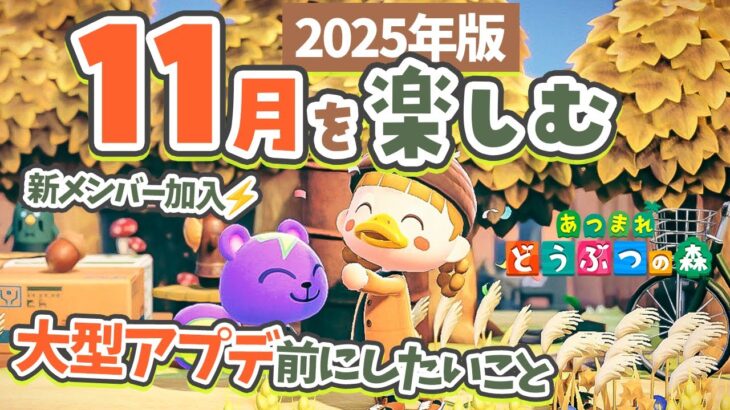 【あつ森】11月を楽しむ🍄🍁4年ぶりアプデの前にしたいこと!新メンバーの加入も【きのこ もみじ サンクスギビング | あつまれどうぶつの森 2025】