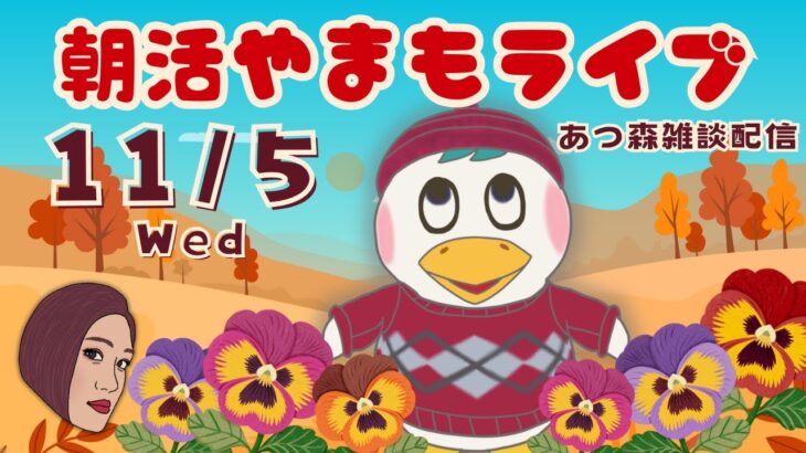 11/5(水)☀️朝活やまもライブ【あつ森雑談配信】
