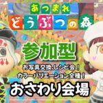 #118  【あつ森】ジムノエ島のおさわり会！