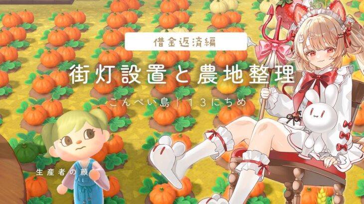 〖あつ森｜朝活〗🔦夜も明るい島にしたい🔦｜こんぺい島13日目〖フレリア・ランヴェルセ｜個人vtuber〗