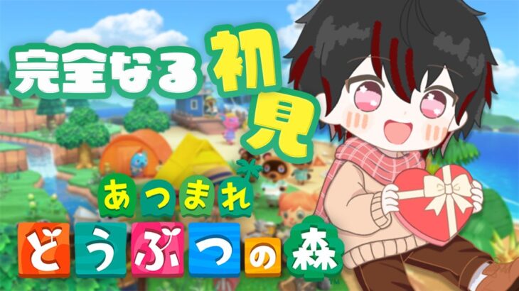 【あつまれどうぶつの森】シリーズ完全初見でやるあつ森 ～今日は少し短め！！～【#15】