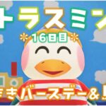 【あつ森】のりまき誕生日！自宅の浜辺とプールエリアへの道を島クリ！シトラスミン島＊16日目＊【生放送】
