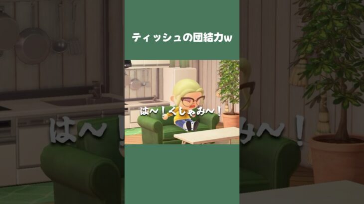 【あつ森】1枚目だけ取ろうとしても、必ず仲間がくっついてくる…ティッシュの団結力w #daily #日常  #あつ森 #あつまれどうぶつの森 #shorts