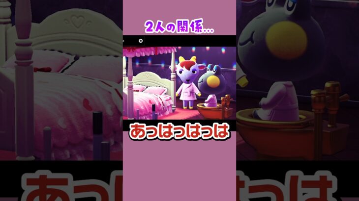 【#あつ森 】家に行ったら怪しい空間に2人のキザ住民が…♥🐐🐸#あつまれどうぶつの森 #どうぶつの森