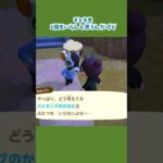 【あつ森】なぜそれを2つも買う！？って思うときあるよね💦 #あつ森 #あつ森日記 #あつまれどうぶつの森