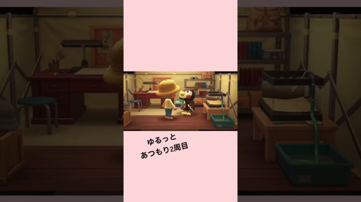 【 あつ森2周目｜博物館を建てたい🦉 】