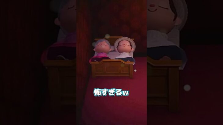 【あつ森】男2人で人ん家のベッドで寝てるシーン💤