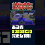 2年前のアサリ？食える食える【あつ森】