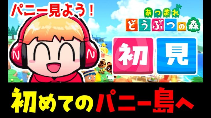 (生放送20日目)一度もどうぶつの森をしたことがない西田のあつ森初見反応～初めてのパニー島編～【西田のあつ森】