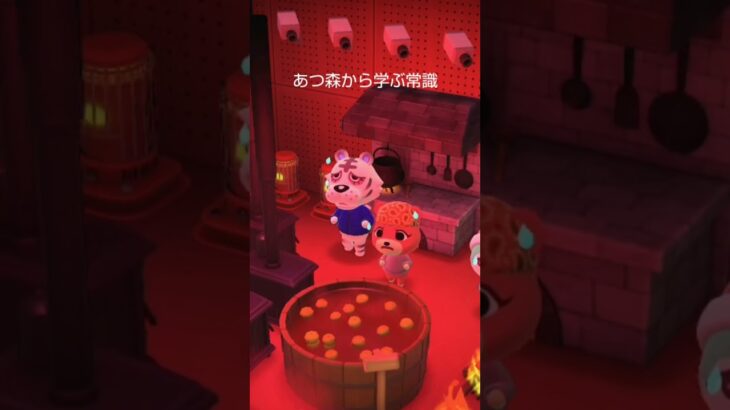 あつ森から学ぶ常識㊗️20人登録者