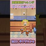 可愛いアレで20万ベル達成？！ #あつ森 #あつまれどうぶつの森 #shorts