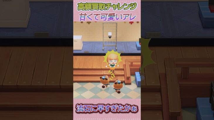 可愛いアレで20万ベル達成？！ #あつ森 #あつまれどうぶつの森 #shorts