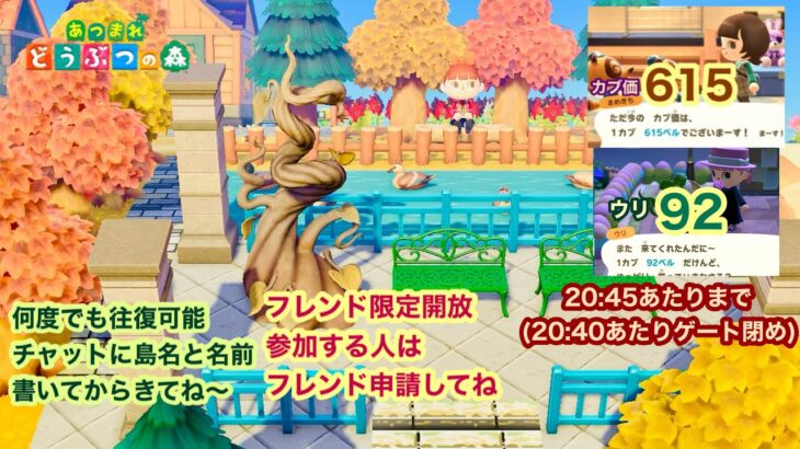 【あつ森】2025,11/16 カブ価615&ウリ92(20:45あたりまで)【フレンド限定開放、参加する人はフレンド申請してね】